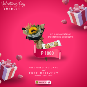 Bundle 1 – Sweet Surprise